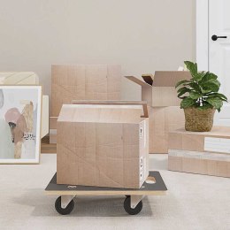 PLATFORMY TRANSPORTOWE 2 SZT. PROSTOKĄTNE 50X35X11,5CM 250 KG