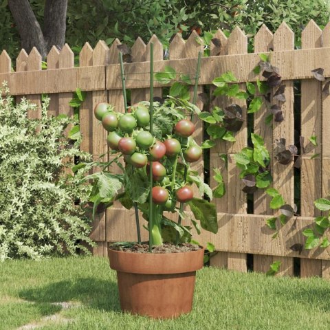 PODPÓRKI DLA ROŚLIN Z 3 OBRĘCZAMI 5 SZT ZIELONE 45CM STAL