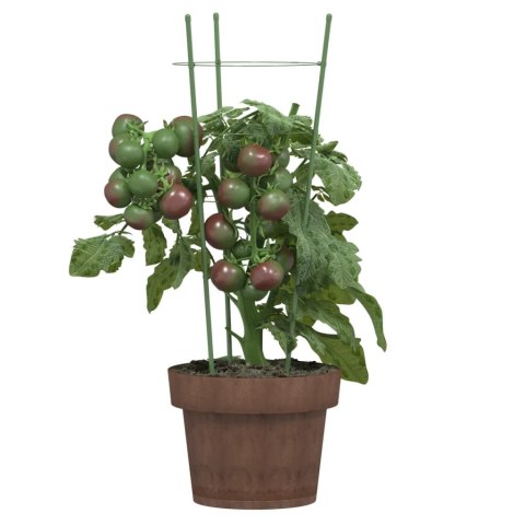 PODPÓRKI DLA ROŚLIN Z 3 OBRĘCZAMI 5 SZT ZIELONE 45CM STAL