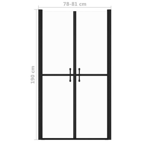 DRZWI PRYSZNICOWE PRZEZROCZYSTE ESG (78-81)X190CM