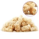 PODPAŁKA BIO 20 KG