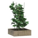 PODPÓRKI DLA ROŚLIN, Z 3 OBRĘCZAMI, 5 SZT, ZIELONE, 75 CM, STAL