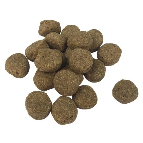SUCHA KARMA DLA PSÓW ADULT ESSENCE BEEF 15 KG