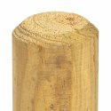 VidaXL Słupki ogrodzeniowe 5 szt. zielony 60 cm Lite drewno sosnowe