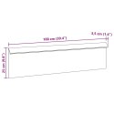 OGRODZENIE ŚLIMAKOWE SREBRNY 100X3,5X25CM STAL NIERDZEWNA
