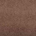 VidaXL Dywanik wejściowy Brązowy i czarny 90 x 150 cm 100% poliamid