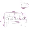 VidaXL Sofa dwuosobowa z guzikowym pikowaniem ciemnoszary tkanina
