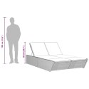 VidaXL Podwójna leżanka z poduszkami, beżowa, polirattan