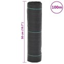 VidaXL Agrowłóknina antychwastowa, czarna, 0,5x100 m, PP