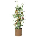 UPRAWA POMIDORÓW NATURO ECO Ø 39 X 139 CM WPC