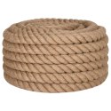 VidaXL Sznur jutowy, 10 m długości, 40 mm grubości