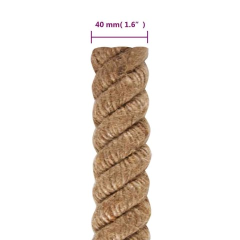 VidaXL Sznur jutowy, 10 m długości, 40 mm grubości