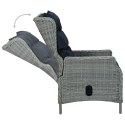 VidaXL 9-cz. zestaw mebli ogrodowych, poduszki, rattan PE, jasnoszary