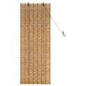 VidaXL Roleta brązowy 60 x 160 cm Trzcina