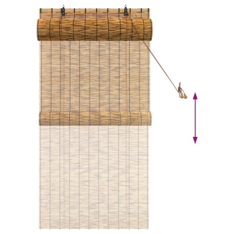 VidaXL Roleta brązowy 80 x 160 cm Trzcina