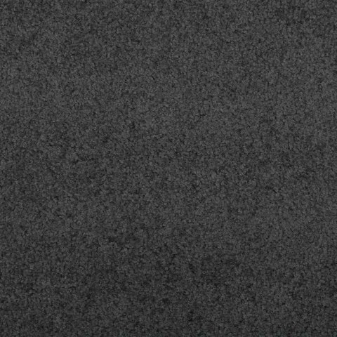 VidaXL Dywanik wejściowy Antracytowy i czarny 120 x 180 cm