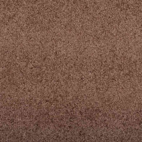 VidaXL Dywanik wejściowy Brązowy i czarny 120 x 180 cm 100% poliamid