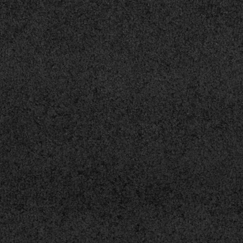 VidaXL Dywanik wejściowy Czarny 120 x 300 cm 100% poliamid