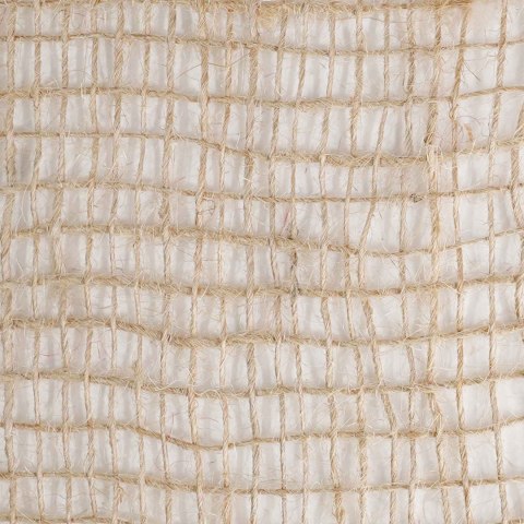 VidaXL Rolka Jutowa Naturalny 25 x 5000 cm