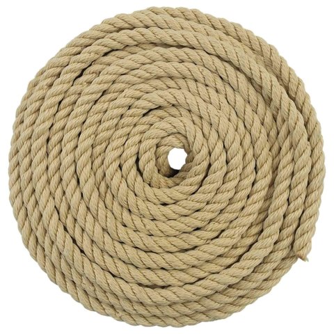 VidaXL Lina do łodzi 10 mm 50 m naturalny