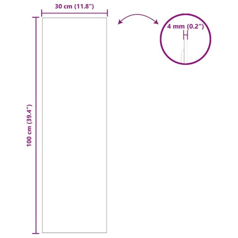 VidaXL Lustro ścienne Prostokątny 30 x 100 cm szkło hartowane