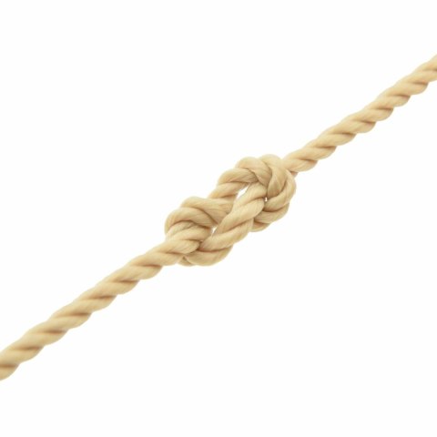 VidaXL Lina do łodzi 0.5 mm 50 m naturalny
