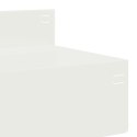 VidaXL Krawężnik do trawnika 20 szt. 100 x 10 x 8 cm Stal Biały