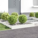VidaXL Krawężnik do trawnika 4 szt. 100 x 100 x 20 cm Stal Biały