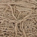 VidaXL Siatka wsparcia roślin z juty naturalny 1 x 50 m