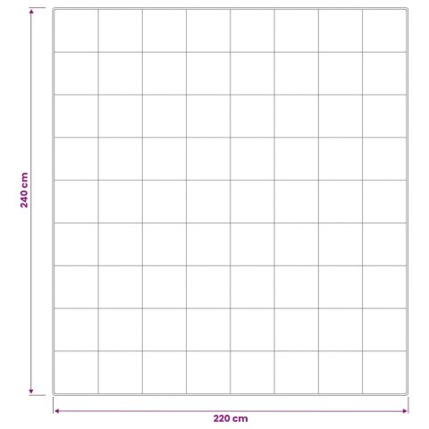 VidaXL Kołdra 220x240 cm 4 pory roku 300 GSM Wełna australijska Biały