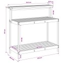 VidaXL Zewnętrzny stół do przesadzania 111,5 x 48,5 x 107 cm Biały