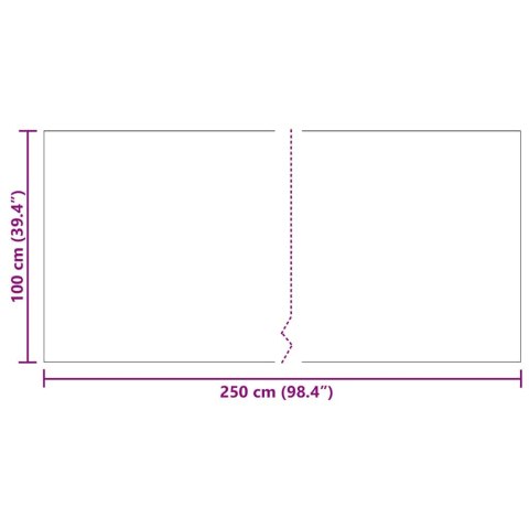 VidaXL Chodnik dywanowy Jasnoszary 100 x 250 cm tkanina