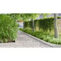 Vidaxl Krawędź Trawnikowa Srebrny 1000 x 20 x 0,03 cm