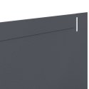 VidaXL Krawężnik do trawnika 20 szt. 102 x 10 x 4 cm Stal antracytowy