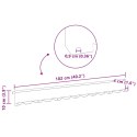 VidaXL Krawężnik do trawnika 20 szt. 102 x 10 x 4 cm Stal antracytowy