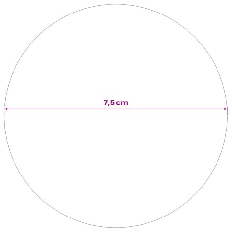 VidaXL Kula lustro 6 szt. Ø 7,5 cm srebrny Stal nierdzewna 201