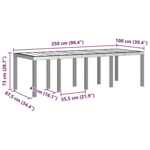 VidaXL Stół Ogrodowy Biały 250 x 100 x 73 cm polirattan