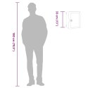VidaXL Szafka sterownicza Szary 32 x 13 x 33 cm Plastik ABS