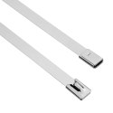 VidaXL Związywacz kablowy 12 szt. 7,9 x 500 mm srebrny