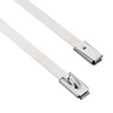 VidaXL Związywacz kablowy 250 szt. 4,6 x 150 mm srebrny