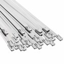 VidaXL Związywacz kablowy 250 szt. 4,6 x 300 mm srebrny
