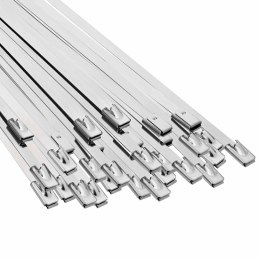 VidaXL Związywacz kablowy 250 szt. 4,6 x 300 mm srebrny
