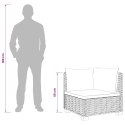 VidaXL 2 szt. Zestaw Rattanowy z Poduszkami GENDT Naturalny rattan