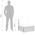 VidaXL 2 szt. Zestaw Rattanowy z Poduszkami GENDT Naturalny rattan