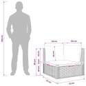 VidaXL Sofa narożna z poduszkami GENDT Naturalny rattan Kubu Szary