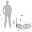 VidaXL Środkowa sofa z poduszkami GENDT Naturalny rattan Kubu Szary