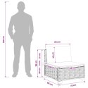VidaXL Środkowa sofa z poduszkami GENDT Naturalny rattan naturalny