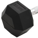 VidaXL Hantel, 27,5 kg, żeliwo