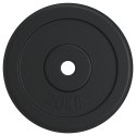 VidaXL Obciążnik 20 kg, żeliwny