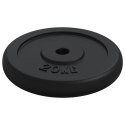 VidaXL Obciążnik 20 kg, żeliwny
